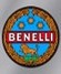 MANUAL BENELLI